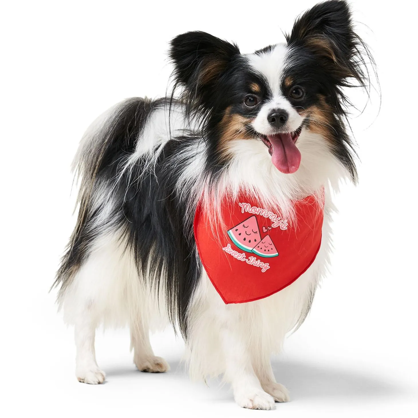 Mommy's Sweet Thing Dog Bandana