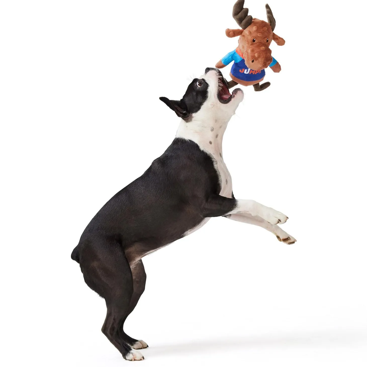Moose Dog Toy
