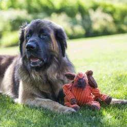 Morris Moose Knottie Plush Dog Toy