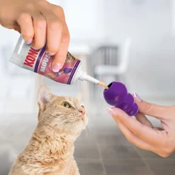 Mousse Salmon Recipe Cat Treat