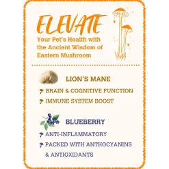 Mushroom Bone Broth Lion's Mane & Blueberry Dog & Cat Meal Topper