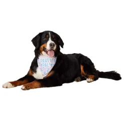 My Birthday Party Bandana