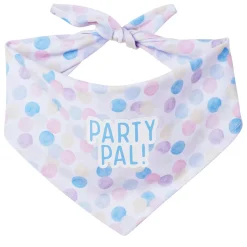 My Birthday Party Bandana