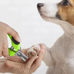 Nail Clipper