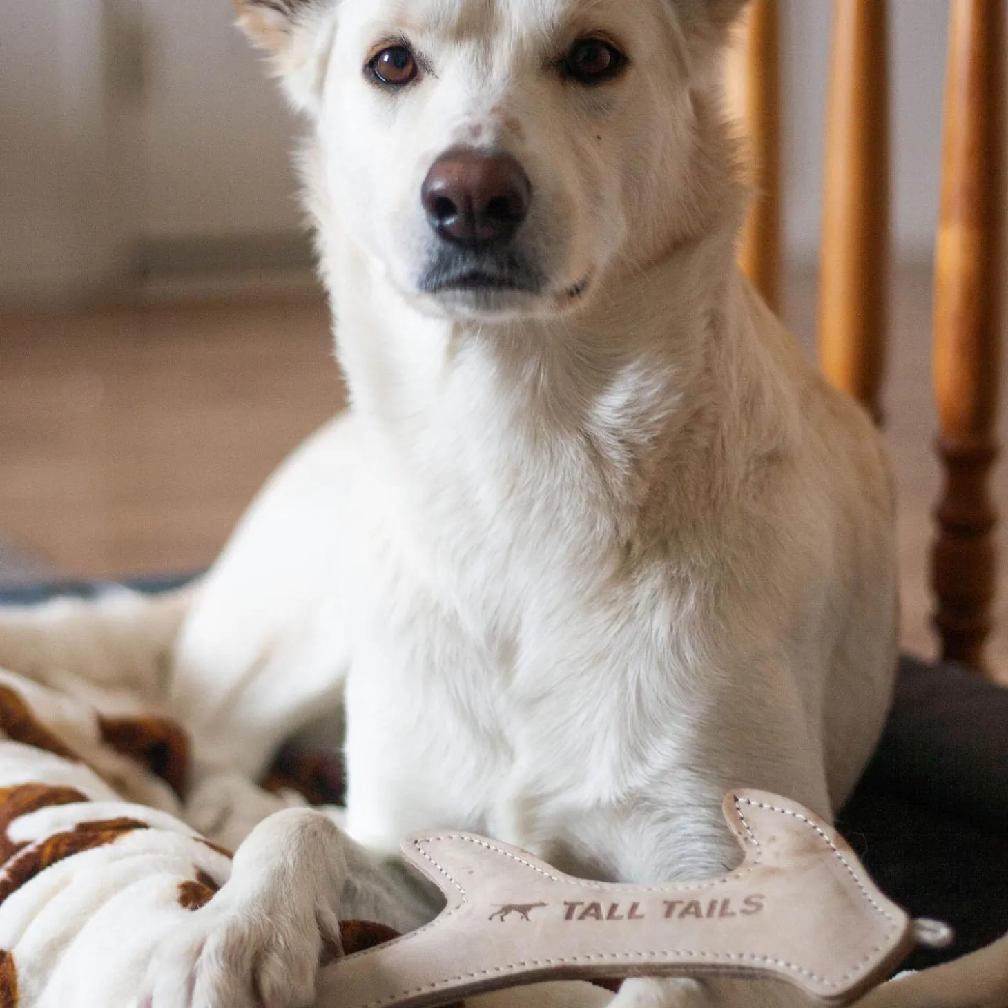 Natural Leather Antler Dog Toy