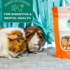 Natural Science Vitamin C Small Animal Supplement