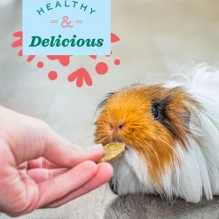 Natural Science Vitamin C Small Animal Supplement