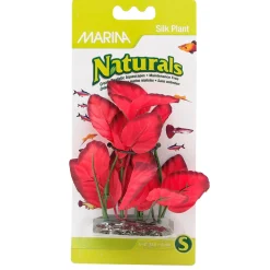 Naturals Foreground Silk Plant