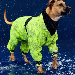 Neon Yellow Rain Suit