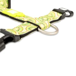 Neoprene Kiwi Dog H-Harness