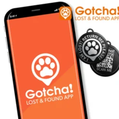 Neoprene SMART ID Kiwi Dog Collar