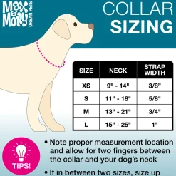 Neoprene SMART ID Strawberry Dog Collar