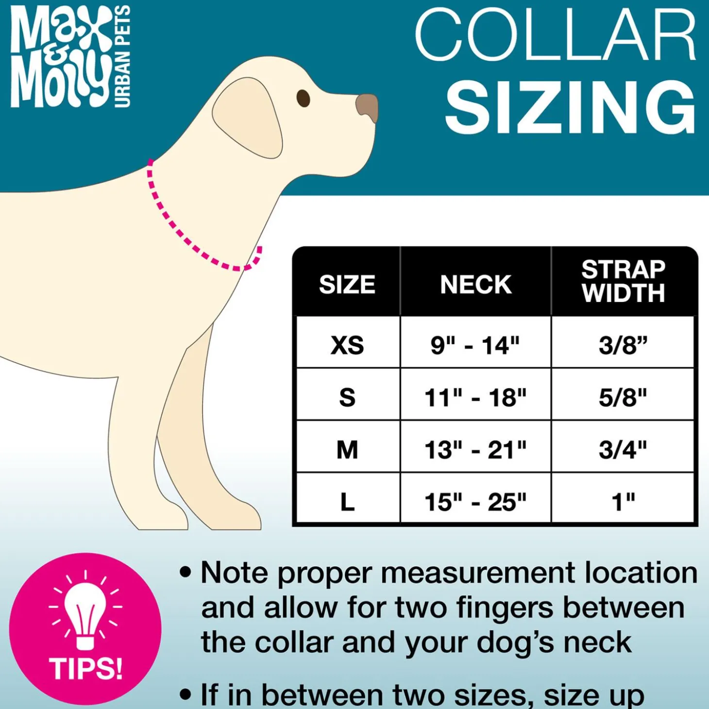 Neoprene SMART ID Strawberry Dog Collar
