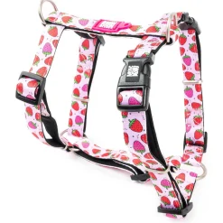 Neoprene Strawberry Dog H-Harness