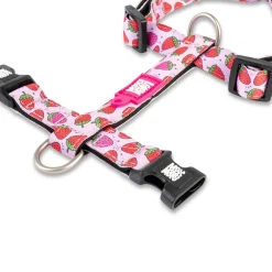 Neoprene Strawberry Dog H-Harness