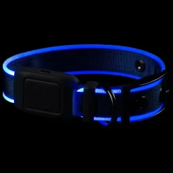 NiteDog Rechargeable LED Blue Dog Collar