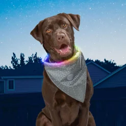 NiteHowl Grey Bandana Disc-O Select Rechargeable LED Safety Necklace