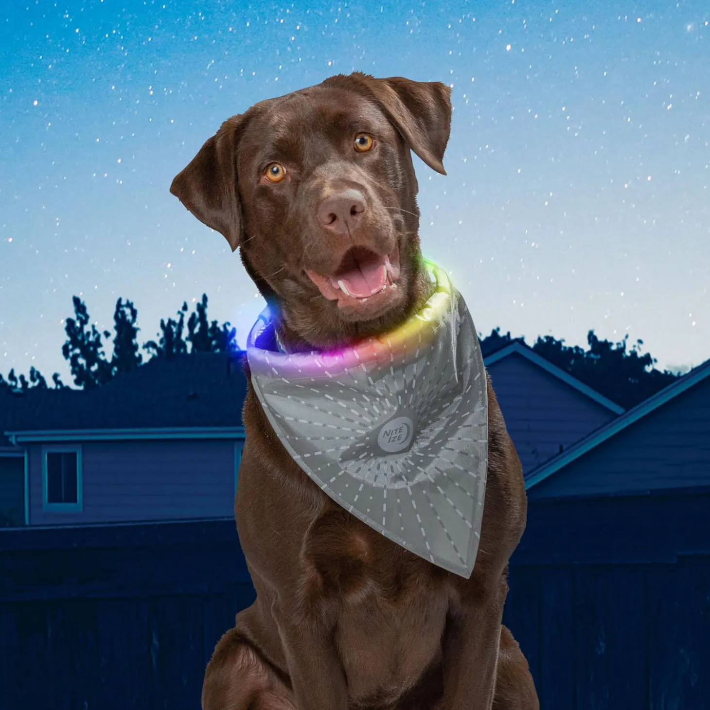 NiteHowl Grey Bandana Disc-O Select Rechargeable LED Safety Necklace