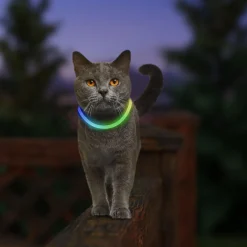 NiteMeow LED Safety Disc-O Select Necklace