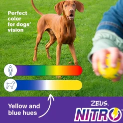 NITRO Flying Disc Dog Toy
