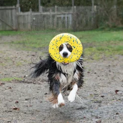 NITRO Flying Disc Dog Toy