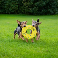 NITRO Flying Disc Dog Toy