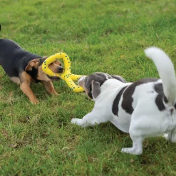 NITRO Tugger Dog Toy