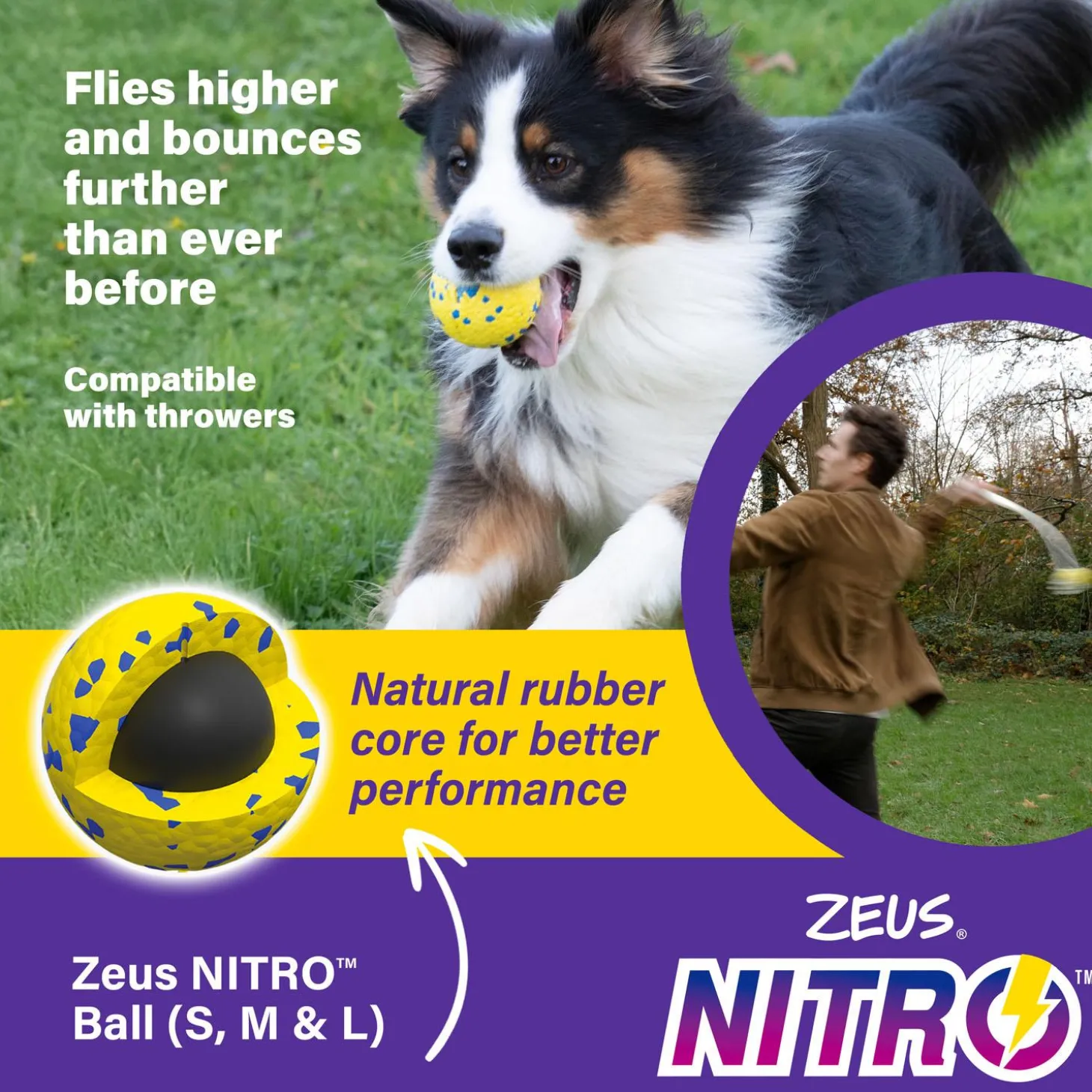 NITRO Weighted Ball Dog Toy