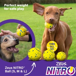 NITRO Weighted Ball Dog Toy