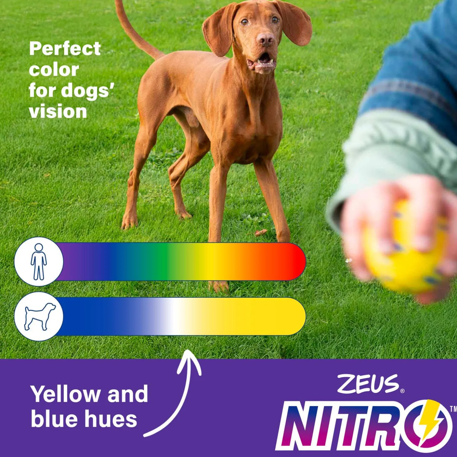 NITRO Weighted Ring Roller Dog Toy