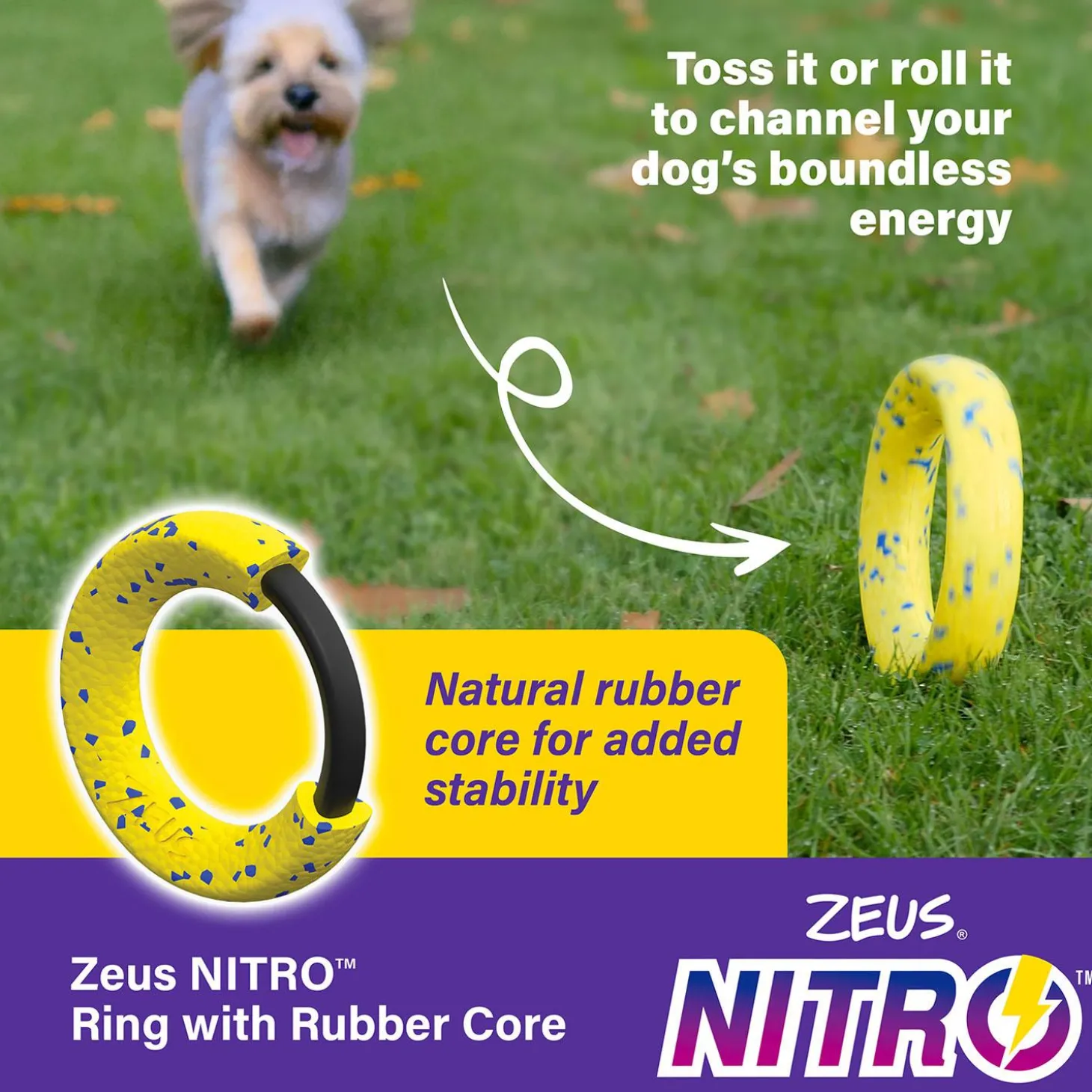 NITRO Weighted Ring Roller Dog Toy
