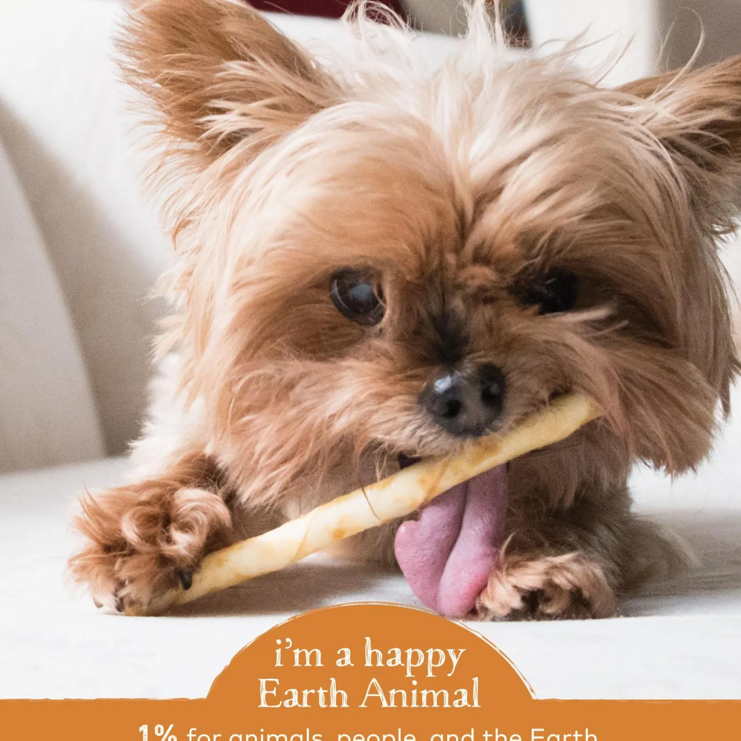 No-Hide Cage-Free Chicken Stix Natural Rawhide Alternative Dog & Cat Chew