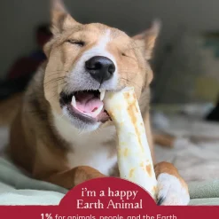 No-Hide Grass-Fed Beef Natural Rawhide Alternative Dog Chew