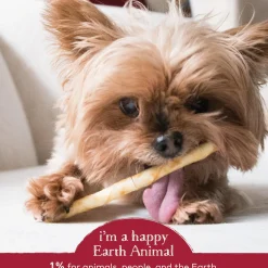 No-Hide Grass-Fed Beef Stix Natural Rawhide Alternative Dog & Cat Chew