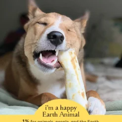 No-Hide Peanut Butter Natural Rawhide Alternative Dog Chew