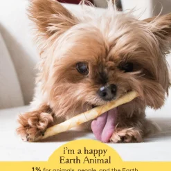 No-Hide Peanut Butter Stix Natural Rawhide Alternative Dog & Cat Chew