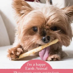 No-Hide Wild-Caught Salmon Stix Natural Rawhide Alternative Dog & Cat Chew