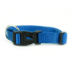 Nylon Adjustable Blue Dog Collar
