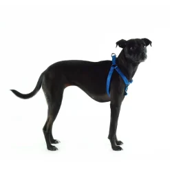 Nylon Adjustable Blue Dog Harness