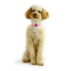 Nylon Adjustable Pink Dog Collar