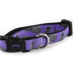 Nylon Adjustable Purple Pineapple Dog Collar