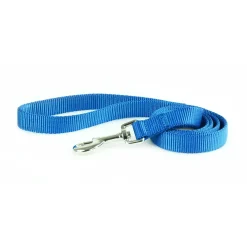 Nylon 3/8in Blue Dog Leash