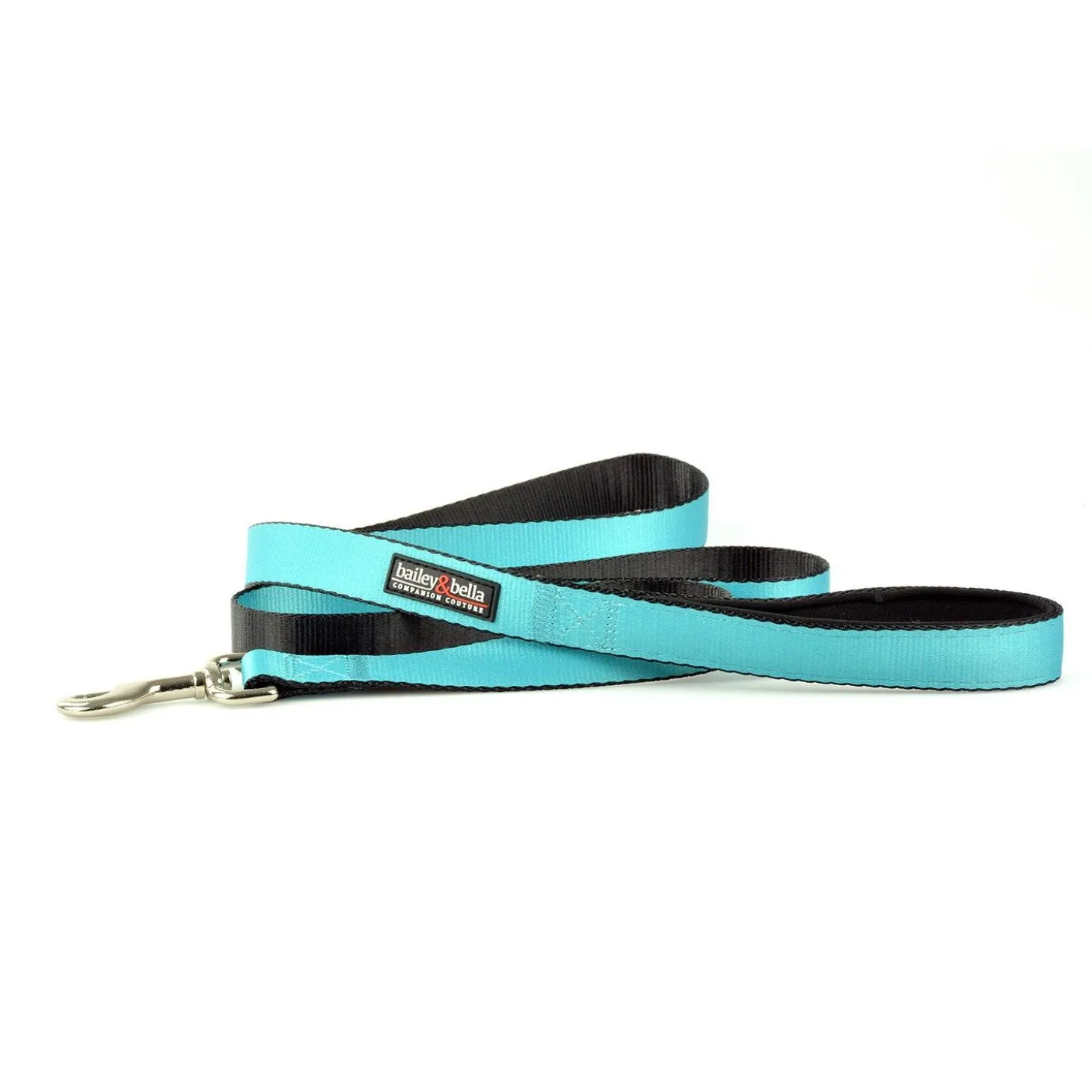 Nylon 1in Blue Dog Leash