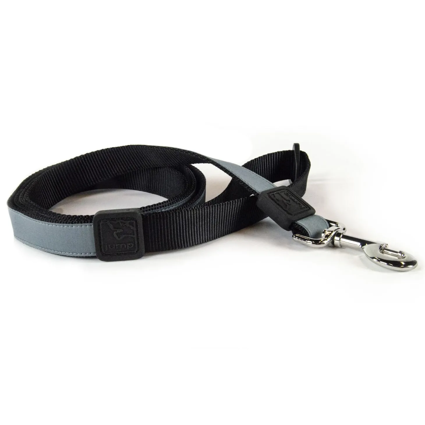 Nylon 1in Grey Dog Leash