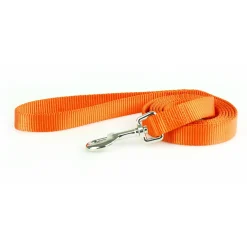 Nylon 1in Orange Dog Leash