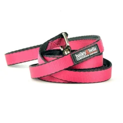 Nylon 1in Pink Dog Leash