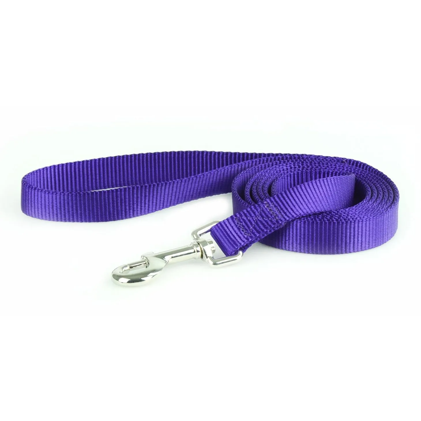 Nylon 5/8in Purple Dog Leash