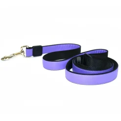 Nylon 3/4in Purple Dog Leash