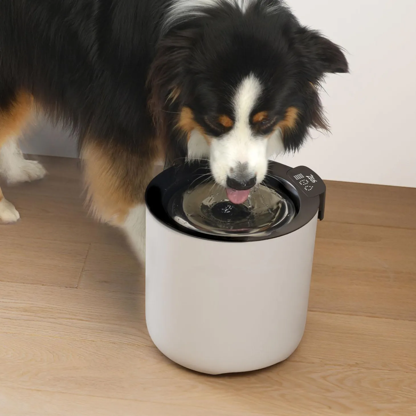 Oasis Plus Smart Dog Fountain