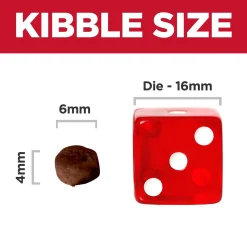 Ocean Fish & Brown Rice Recipe Kitten Cat Food